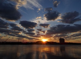 DSC01501r