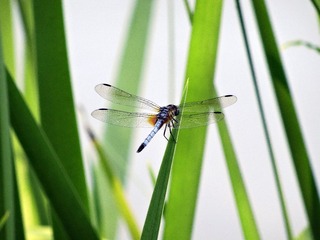 DSC01152r