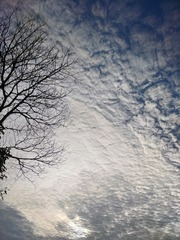 IMG_20141016_163010