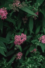 8BDEB606-B824-4736-A84D-2F455609EF77/L0/001
