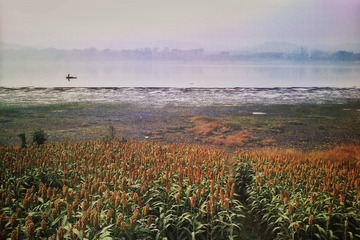 IMAG0079-02-01