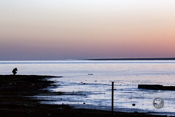 IMG_0520_1