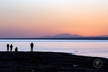 IMG_0523_1
