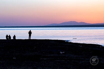 IMG_0524_1