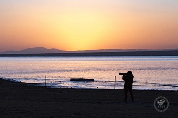 IMG_0529_1