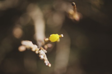 140402