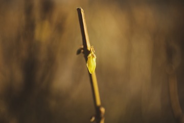 140399