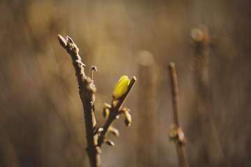 140401