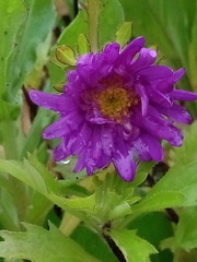 IMG_20131027_090309