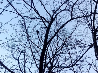 IMG_20150326_183640