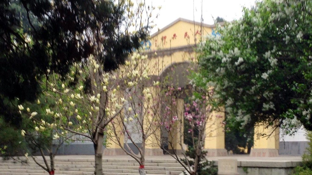 晋冀鲁豫烈士陵园，人民共仰，董必武为左权题词。左权将军墓。丁香树花开。