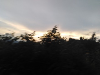 683302