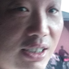 44354
