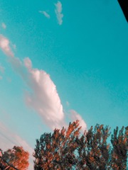 423393