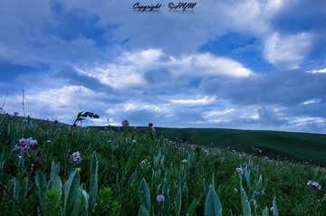 DSC04590_