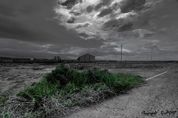 DSC04627_
