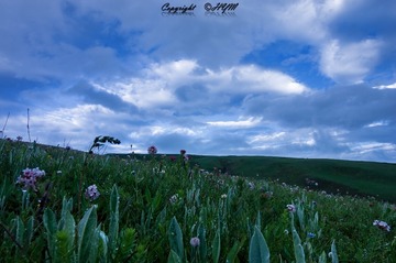 DSC04590_