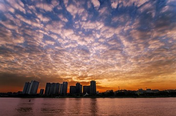 0YSC_526312