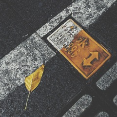 分界