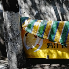 遮光