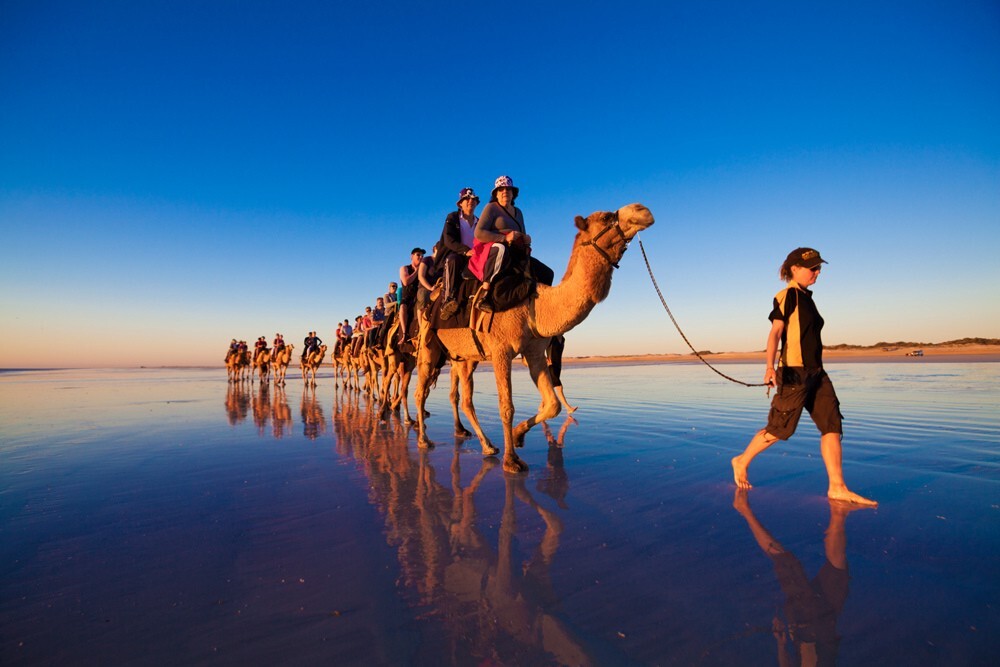 camel rides , western australia broome 