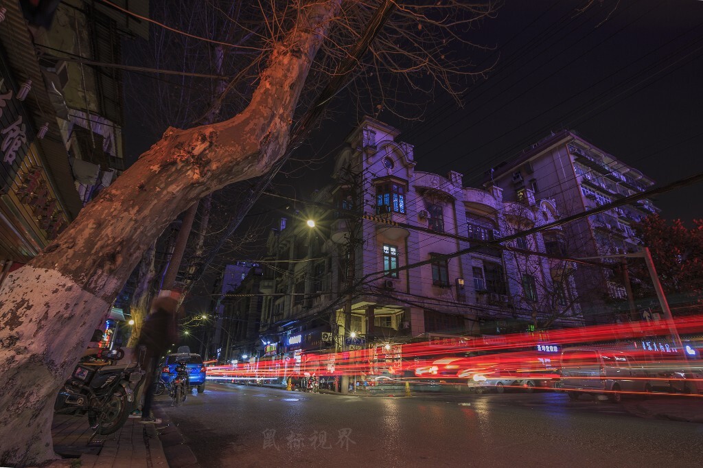 江滩公园附近的街景，歪脖子树，老房子。